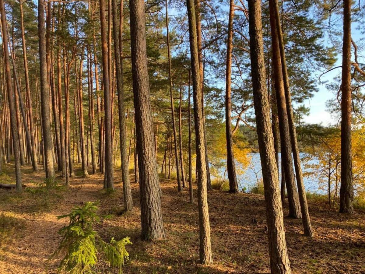 Kuelalistemaja Vehendi Motell Exteriér fotografie