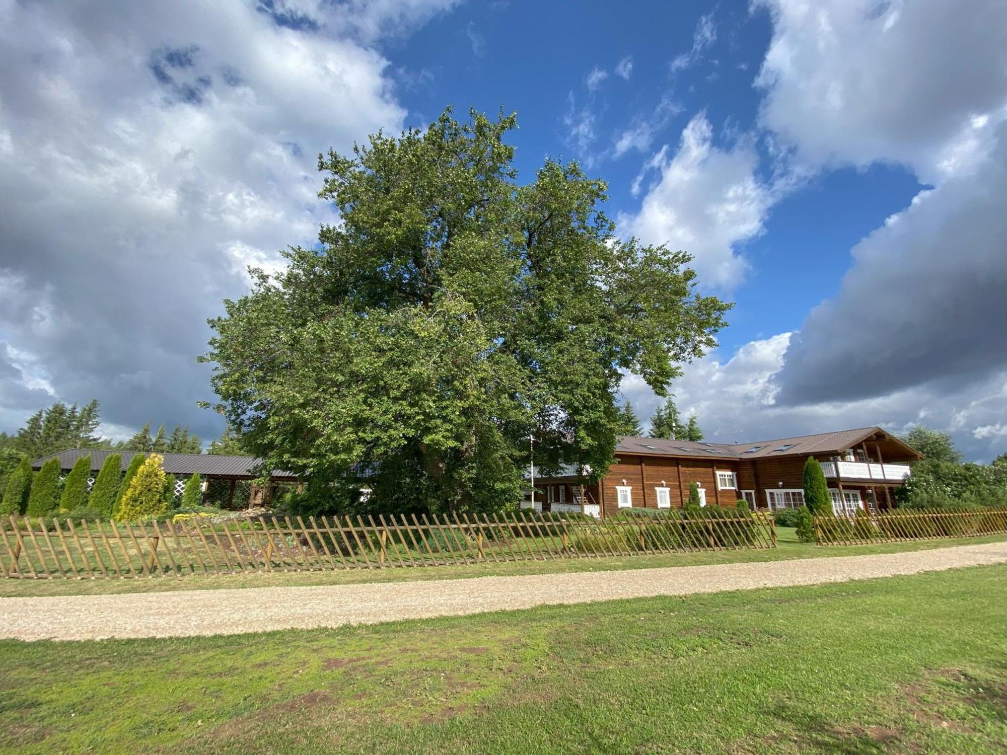 Kuelalistemaja Vehendi Motell Exteriér fotografie