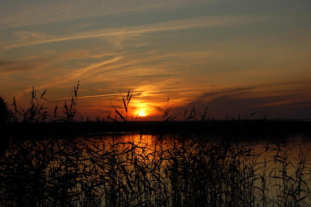 Kuelalistemaja Vehendi Motell Exteriér fotografie