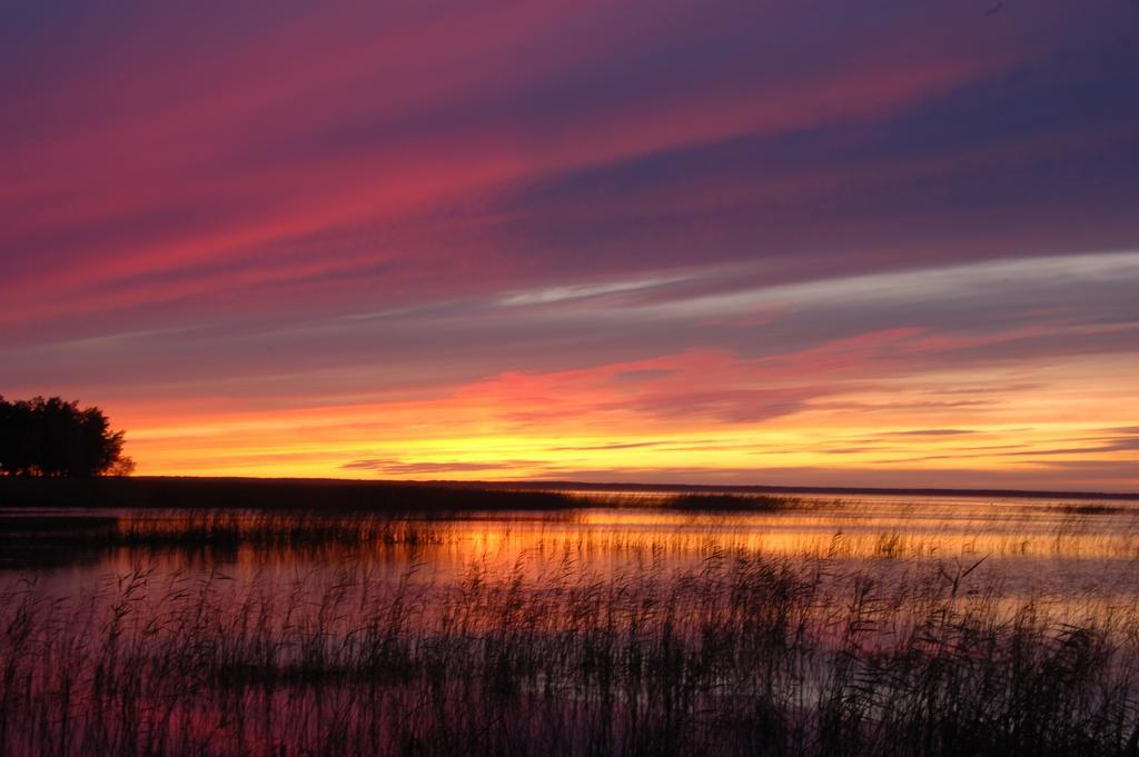 Kuelalistemaja Vehendi Motell Exteriér fotografie